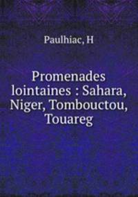 Promenades lointaines : Sahara, Niger, Tombouctou, Touareg