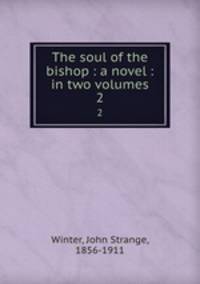 The soul of the bishop : a novel : in two volumes. 2