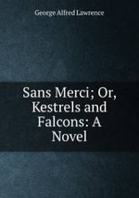 Sans Merci; Or, Kestrels and Falcons: A Novel