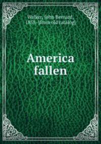 America fallen