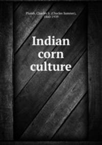 Indian corn culture