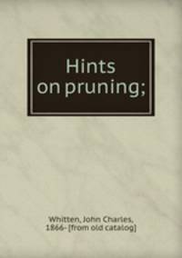 Hints on pruning;