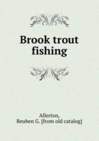 Brook trout fishing