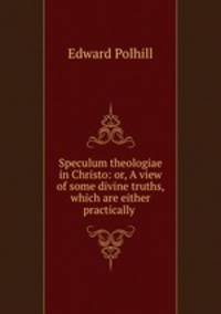 Speculum theologiae in Christo: or, A view of some divine truths, which are either practically .
