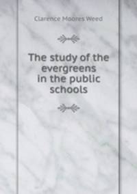 The study of the evergreens in the public schools