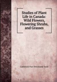 Studies of Plant Life in Canada: Wild Flowers, Flowering Shrubs, and Grasses