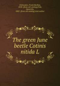 The green June beetle Cotinis nitida L.