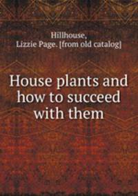 House plants and how to succeed with them