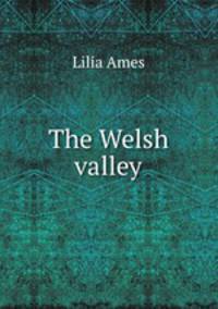 The Welsh valley
