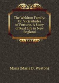 The Weldron Family: Or, Vicissitudes of Fortune. A Story of Real Life in New England