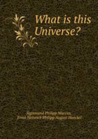 What is this Universe?