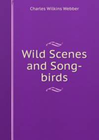 Wild Scenes and Song-birds