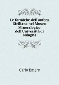 Le formiche dell`ambra Siciliana nel Museo Mineralogico dell`Universit di Bologna