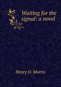 Waiting for the signal: a novel