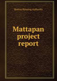 Mattapan project report