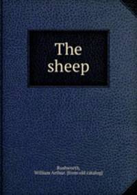 The sheep