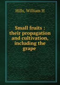 Small fruits : their propagation and cultivation, including the grape