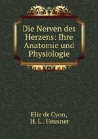 Die Nerven des Herzens: Ihre Anatomie und Physiologie