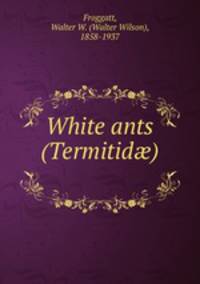 White ants (Termitid)