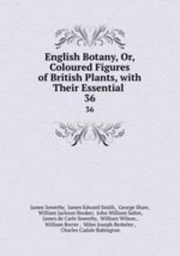 English Botany, Or, Coloured Figures of British Plants, with Their Essential .. 36