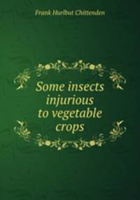 Some insects injurious to vegetable crops