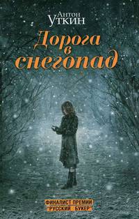Дорога в снегопад