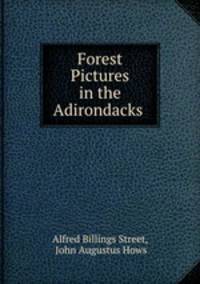 Forest Pictures in the Adirondacks .