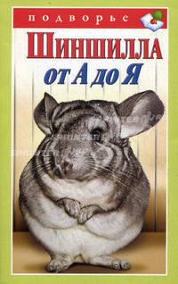 Шиншилла от А до Я
