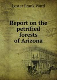 Report on the petrified forests of Arizona