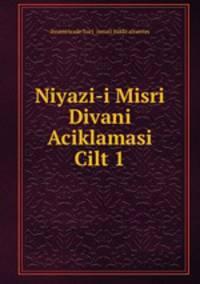 Niyazi-i Misri Divani Aciklamasi Cilt 1