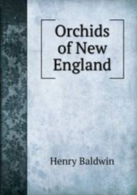 Orchids of New England
