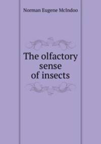 The olfactory sense of insects