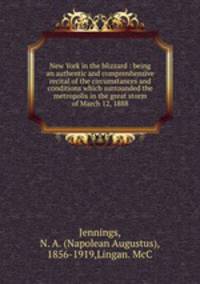 New York in the blizzard : being an authentic and comprenhensive recital of the circumstances and conditions which surrounded the metropolis in the great storm of March 12, 1888