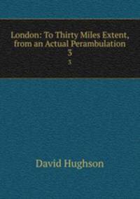 London: To Thirty Miles Extent, from an Actual Perambulation. 3