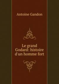 Le grand Godard: histoire d