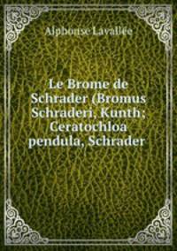 Le Brome de Schrader (Bromus Schraderi, Kunth; Ceratochloa pendula, Schrader .