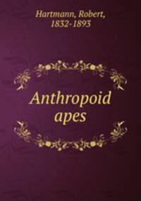 Anthropoid apes