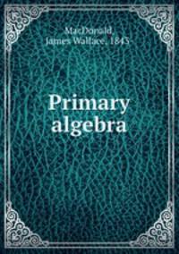 Primary algebra