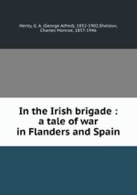 In the Irish brigade : a tale of war in Flanders and Spain