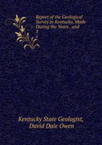Report of the Geological Survey in Kentucky, Made During the Years . and .. 3
