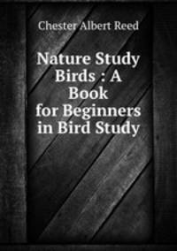 Nature Study Birds : A Book for Beginners in Bird Study