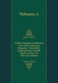 Andr Castagne ou Histoire d`un vieux marin du brigantin " Swordfish" naufrag dans le golfe Saint-Laurent, en 1867 microforme