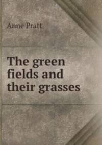 The green fields and their grasses
