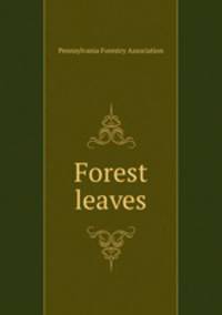 Forest leaves