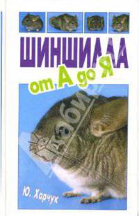 Шиншилла от А до Я