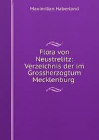 Programm der Groherzoglichen Realschule zu Neustrelitz. Ostern 1901