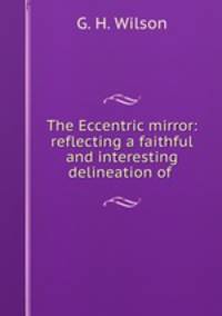 The Eccentric mirror: reflecting a faithful and interesting delineation of .