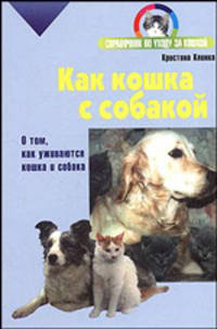Как кошка с собакой. О том, как уживаются кошка и собака