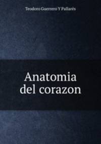 Anatomia del corazon