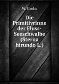 Die Primitivrinne der Fluss-Seeschwalbe (Sterna hirundo L.)
